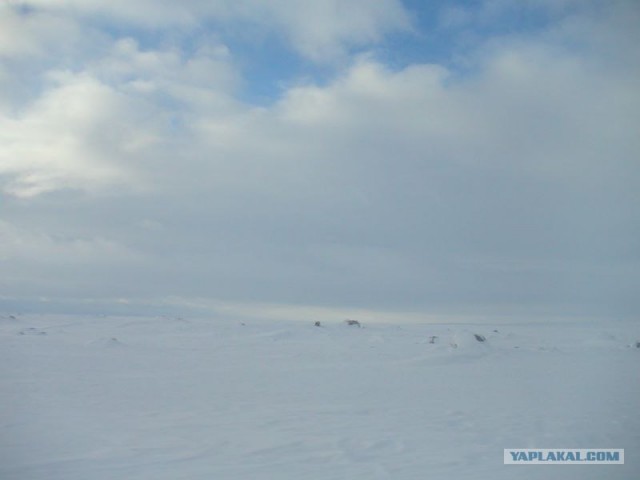 Кольский полуостров