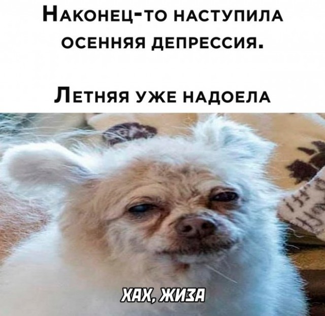 Картинки и мемы, всем хороших выходных