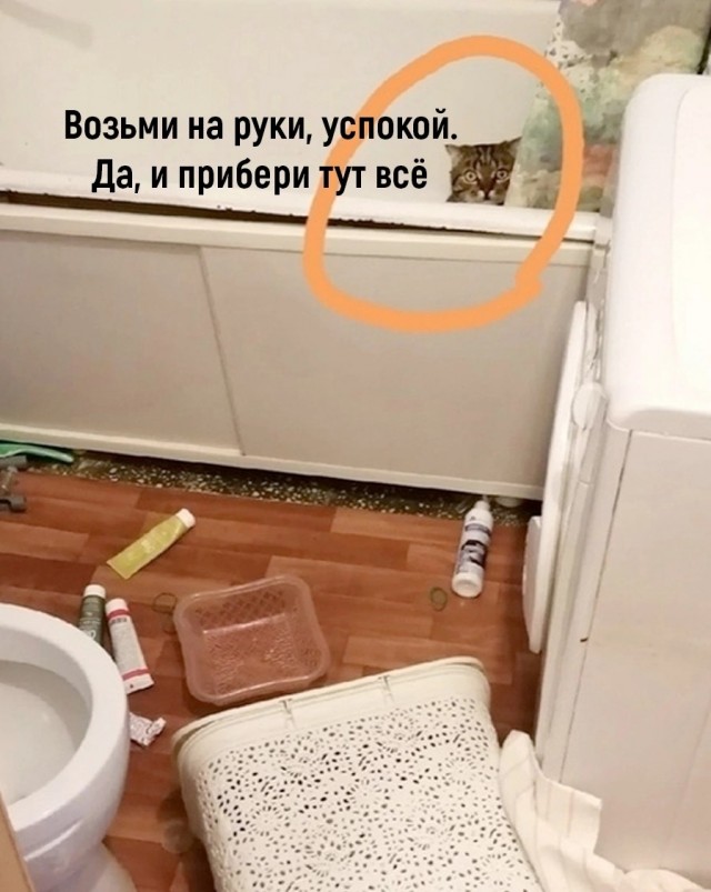 Весёлый полтишок 13.09.22