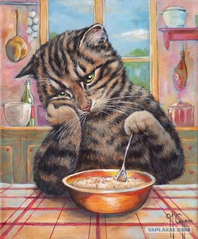 Почему грустят котики?