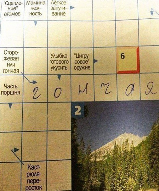 Картинки и мемы, всем хороших выходных