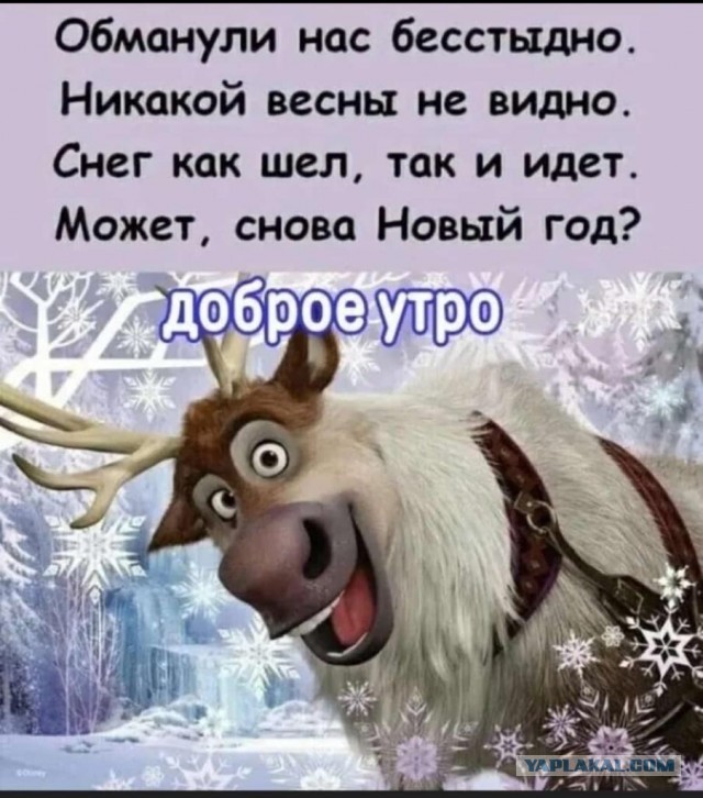 Погода в Новосибирске сегодня