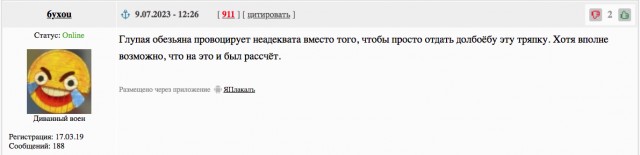 В центре Нижнего Новгорода сожгли американский флаг