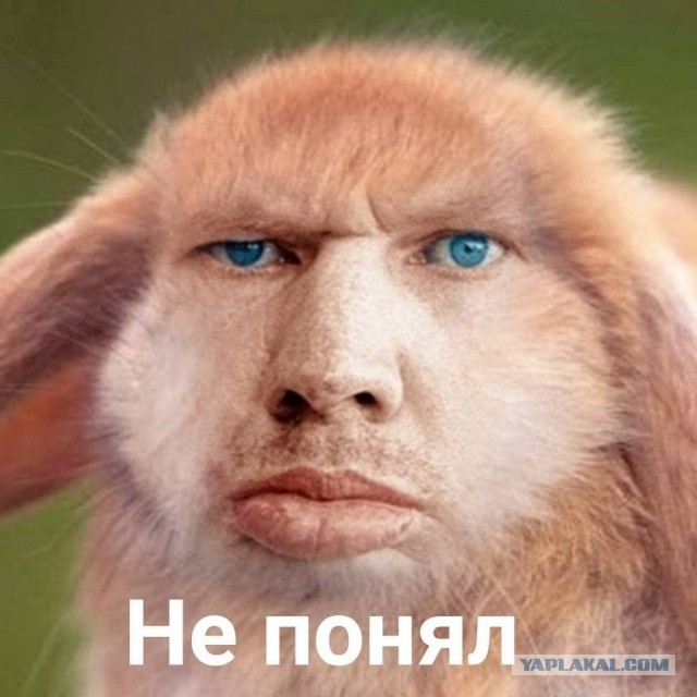 Жизнь после развода