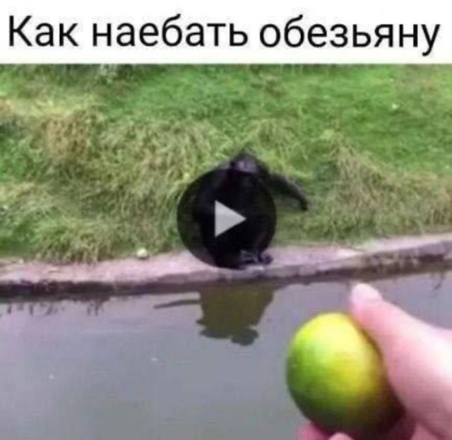 Всех с новым годом! Можно пояснительную бригаду?!