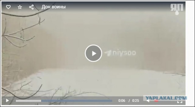 Дон воины