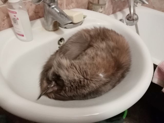 Умыться нереально