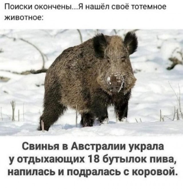 Тлидцать тли от 20 февлаля
