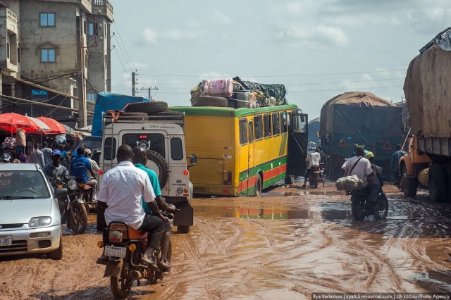Только крокодилы спасут эту страну от мудаков!