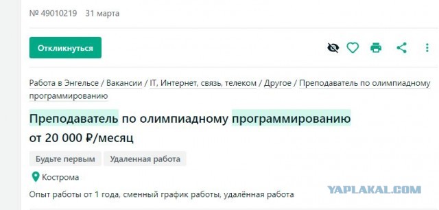 Работа программистом