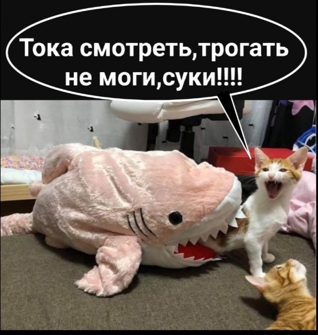 Игривости немного, доброты