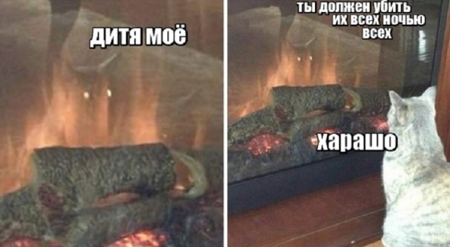 Просто разное весёлости картинки и видео из интернета