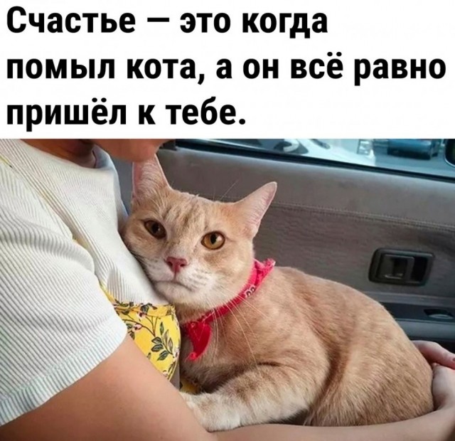 Так себе картинки 15.07.24