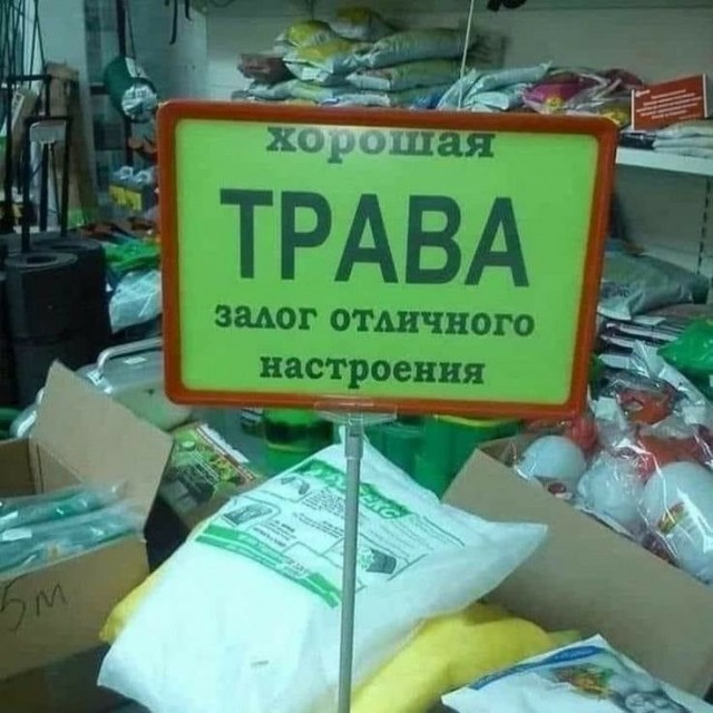 Марихуана замедляет старение и повышает умственные способности — исследование