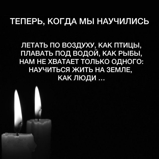 Так себе картинки 26.08.24