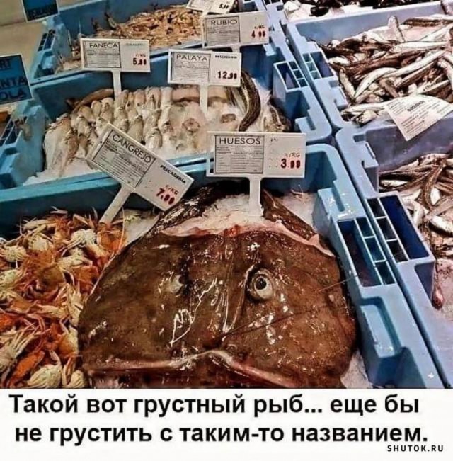 Нуштош 19.09.2024