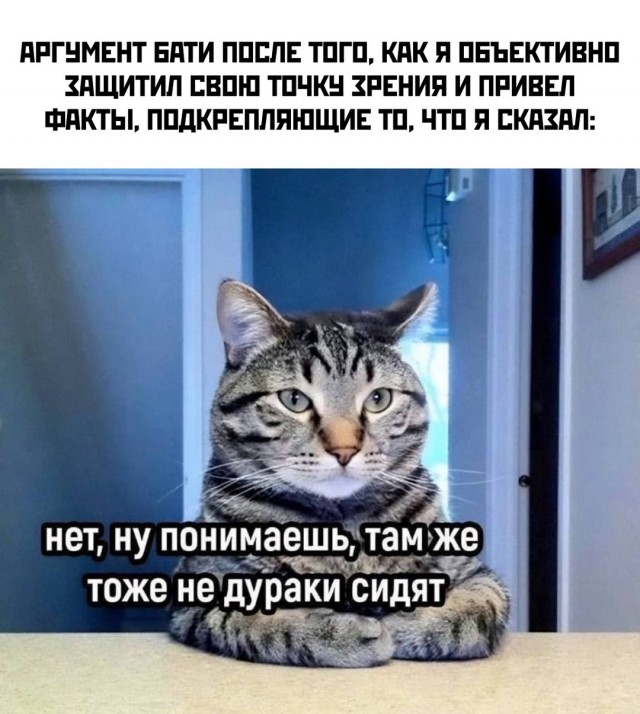 Весёлый полтишок 06.11.24