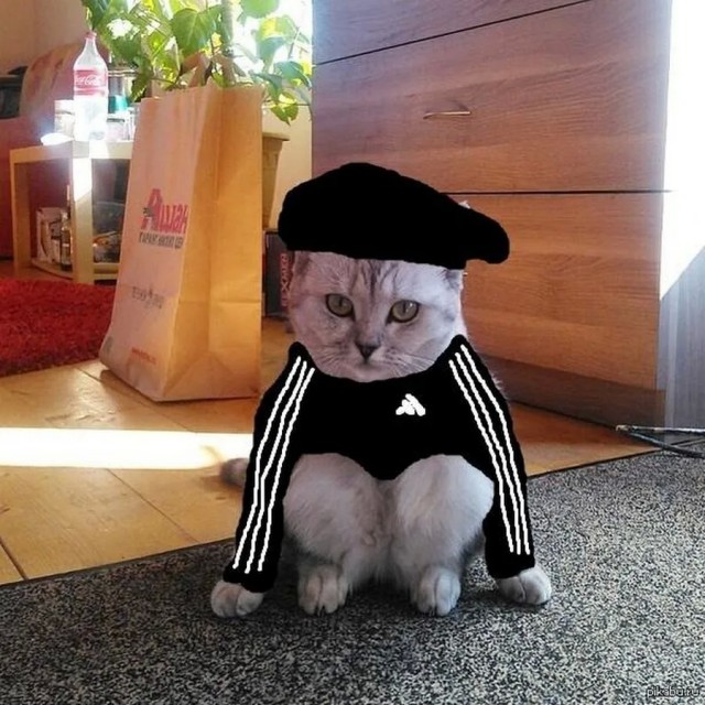 Когда сделал хищный кусь