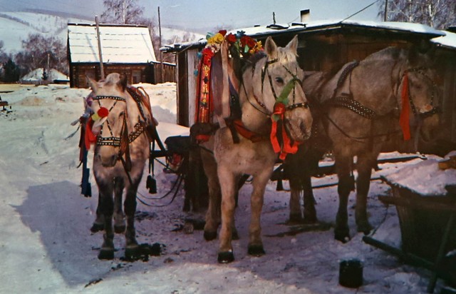 Советские слайды конца 1980-х годов