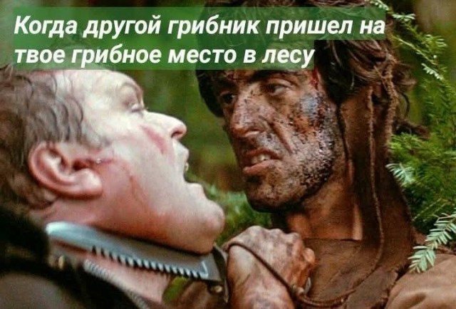 Сходил на тихую охоту