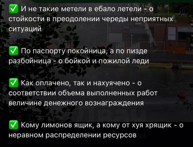 Матерные поговорки на все случаи жизни.