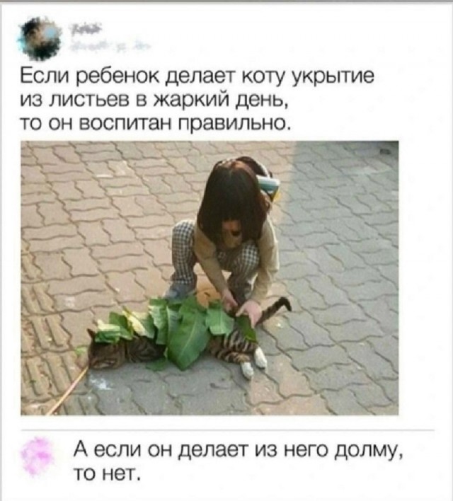 Так себе картинки 22.10.25