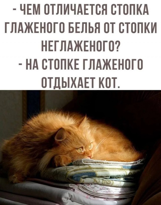 Так себе картинки 03.11.25