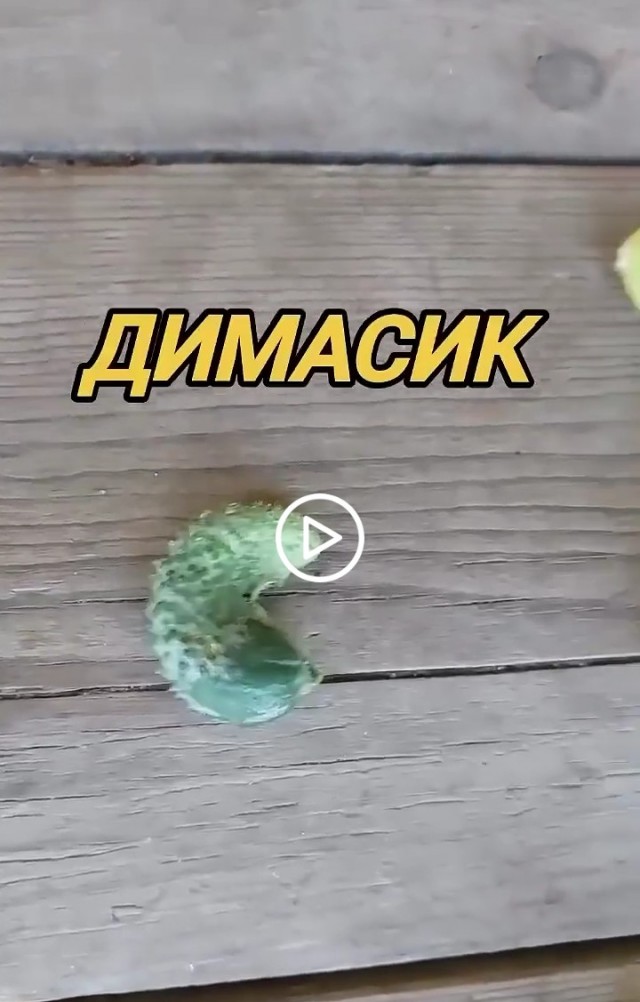 Все в сборе