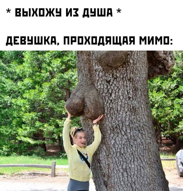 Забавные и не очень скромные картинки - 21