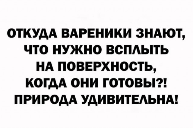Так себе картинки 24.12.25