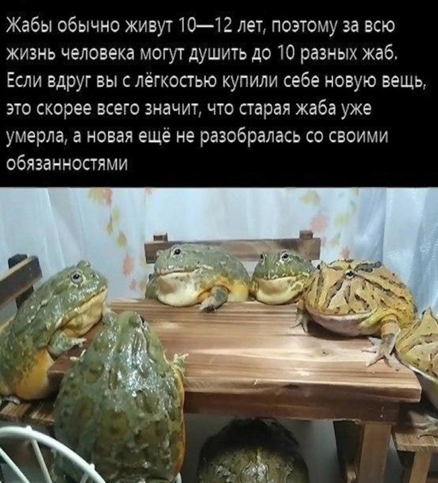 Пятницы картинки