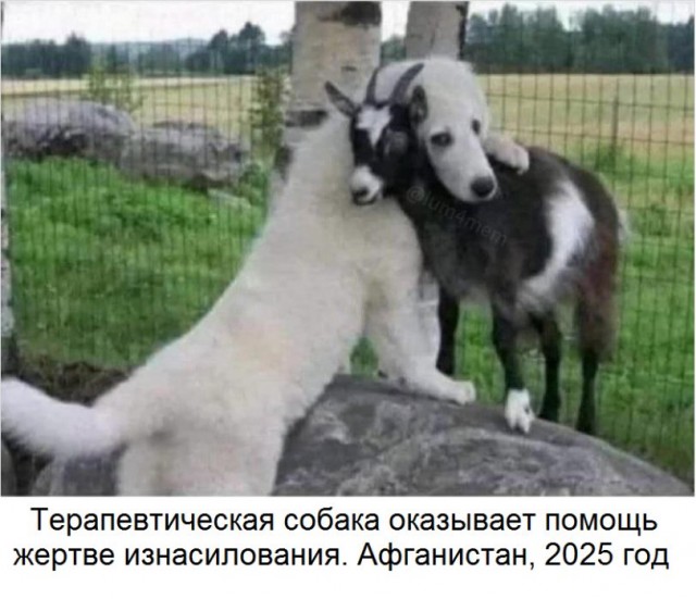 Чёрно-пошлая деградация