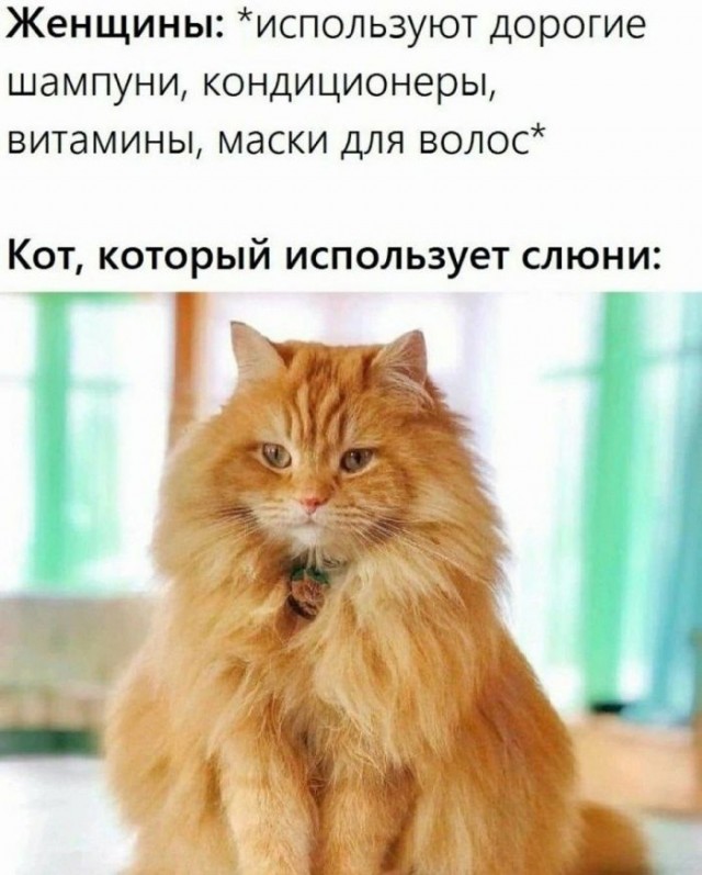 Картинки для деградации 123 (разной степени свежести)