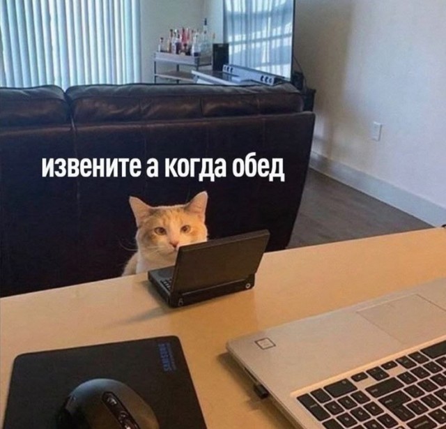 Картинки для деградации 124 (разной степени свежести)