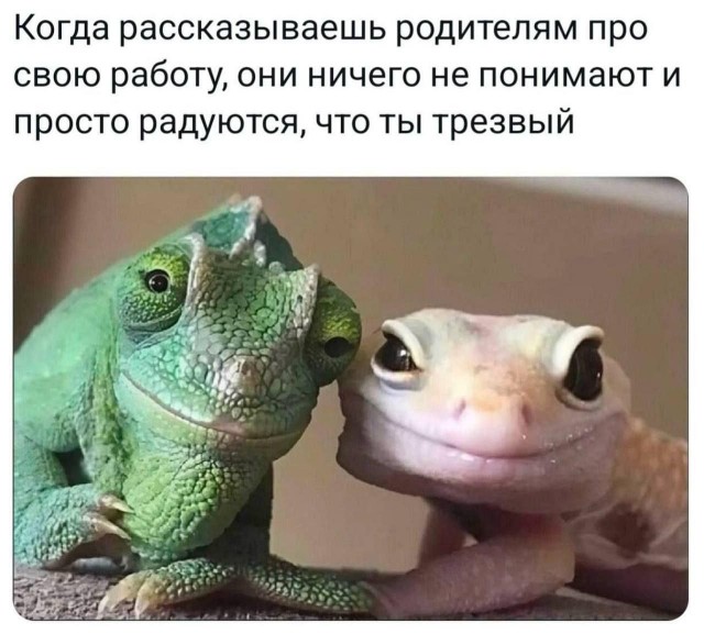 Пятничные алкобояны