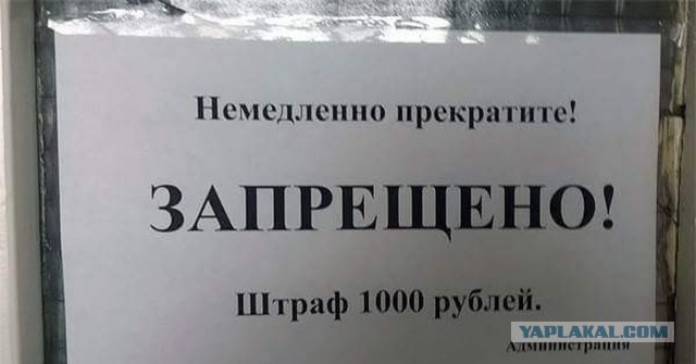Все запрещено или опять все можно?