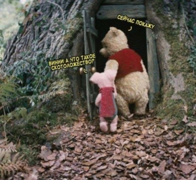 Картинки для деградации 150 (разной степени свежести)