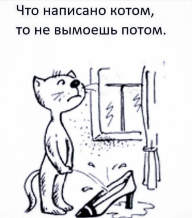 Тема дня