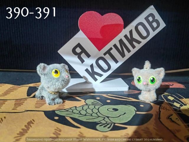 Жизнь домашнего приюта "Котоленд" 537