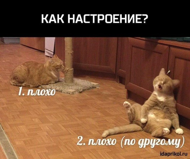 Немного картинок на ночь