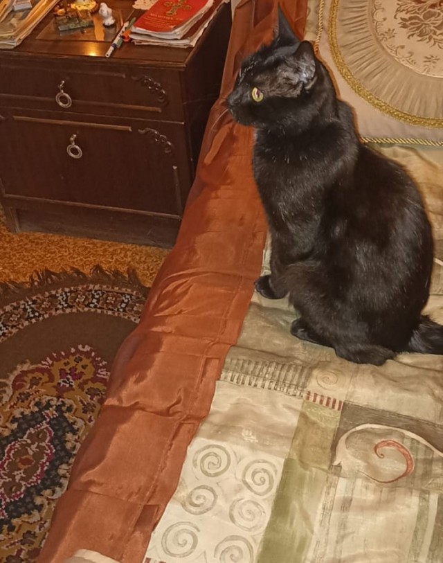 Федя уже на радуге