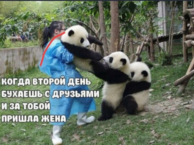 Картинки для деградации 195 (разной степени свежести)
