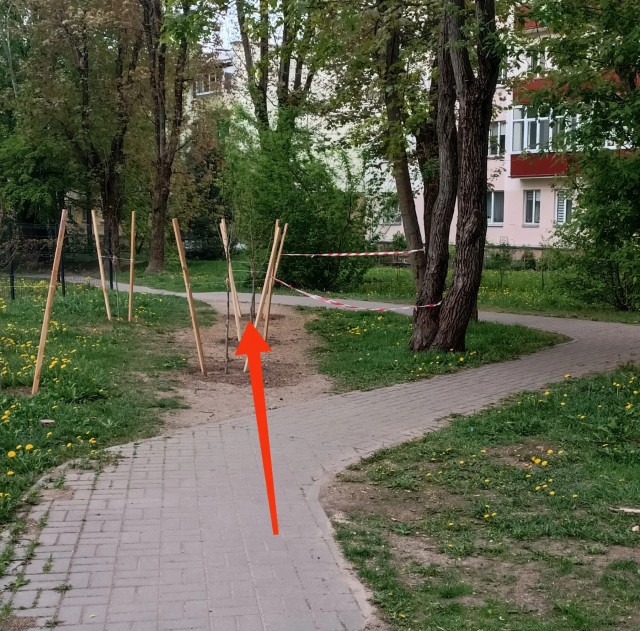 По газонам нельзя ходить и они существуют не для людей?