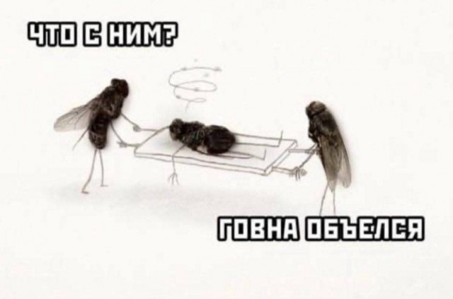 Картинки для деградации 238 (разной степени свежести)