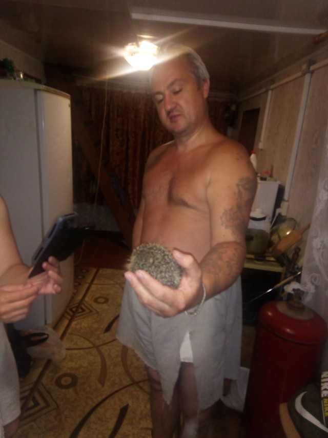 Милоты в ленту