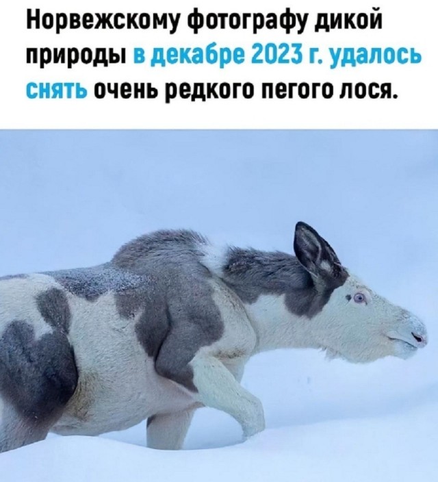 Так себе картинки 27.07.26