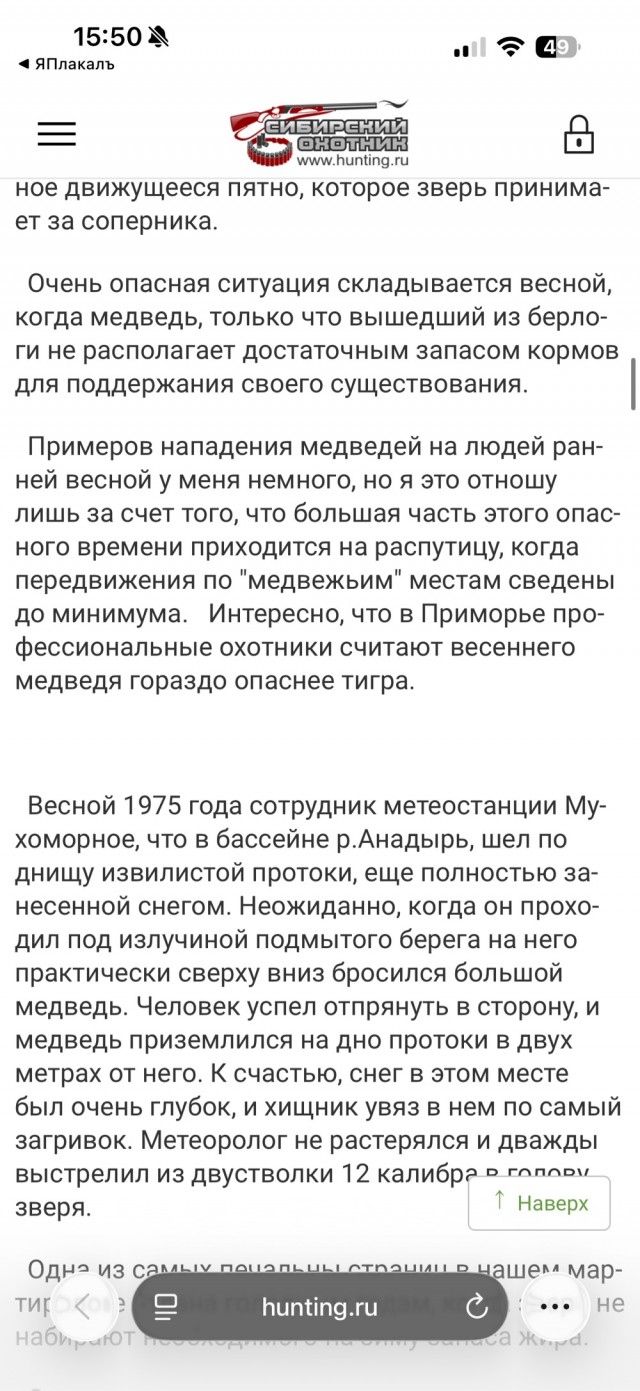 Полезное про медведей для широкой аудитории