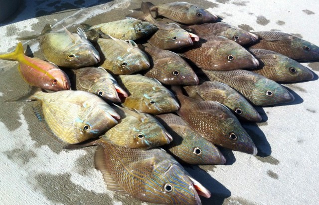 Вот почему я боюсь далеко заплывать