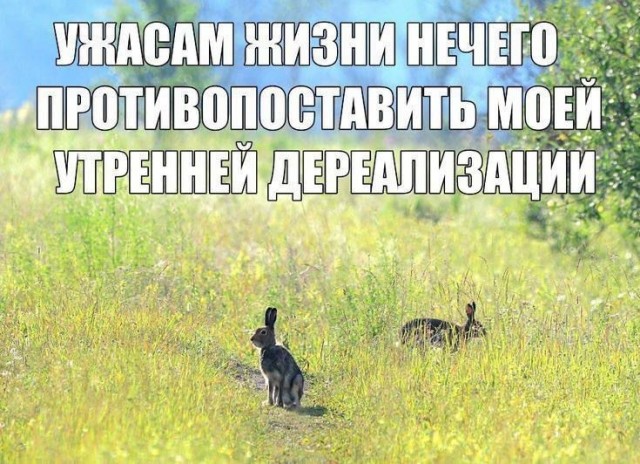 Психомемы-9