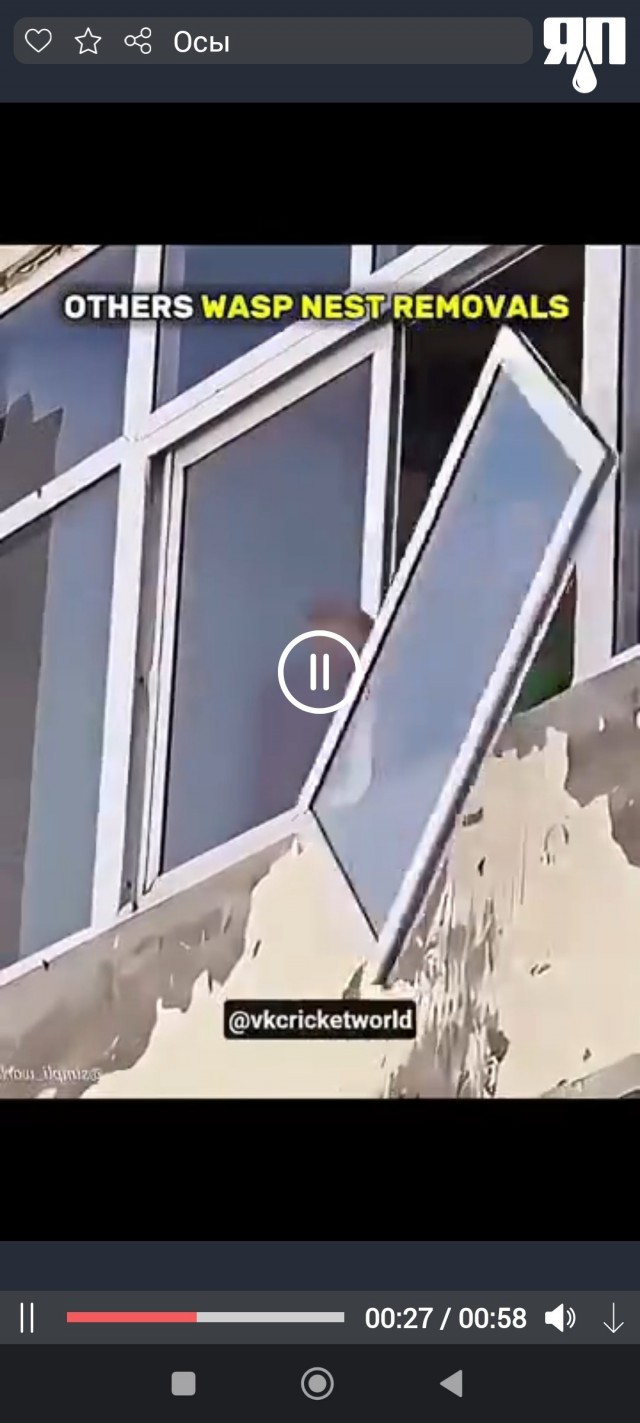 Борьба с дикими пчелообразными